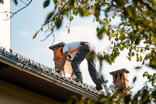 Professional Roofing Contractor in Faith, NC